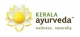 Punarnavaadi Kwatham